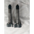 Sinotruk HOWO Parts Truck Parts Truck Spare Parts Brake Camshaft Wg9100440002 Wg9100440001